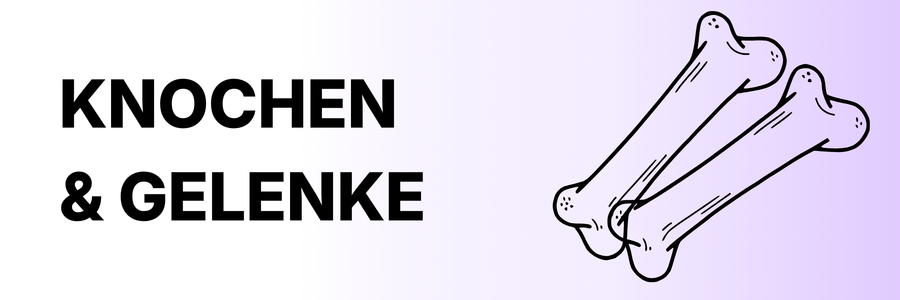 Menüpunkt 6